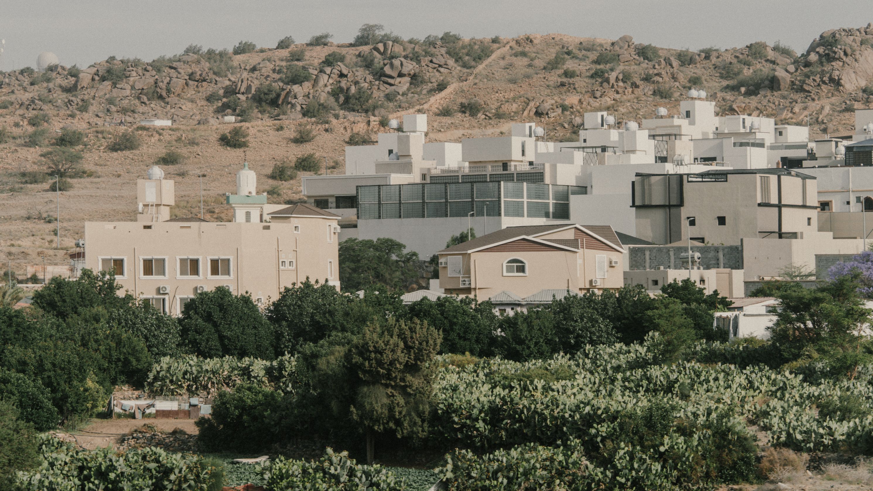 Arabistan'ın Gül Şehri - Taif Kültür Turu — galeri görseli 3
