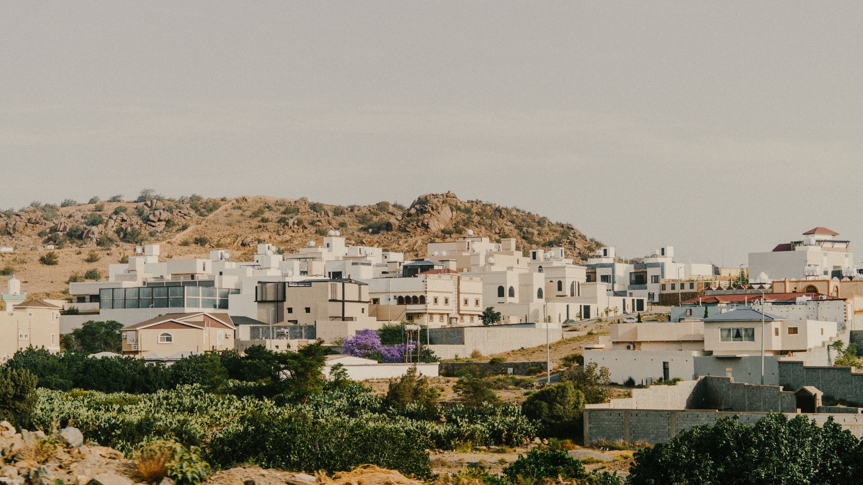 Arabistan'ın Gül Şehri - Taif Kültür Turu — galeri görseli 4